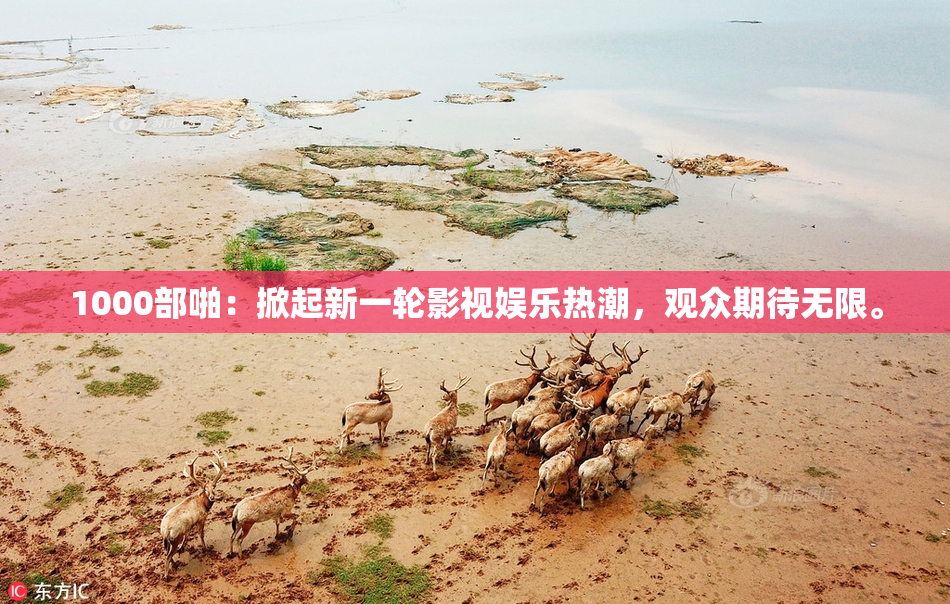 1000部啪：掀起新一轮影视娱乐热潮，观众期待无限。