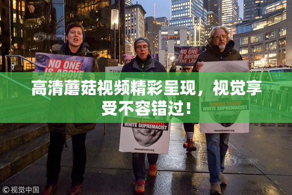 高清蘑菇视频精彩呈现，视觉享受不容错过！