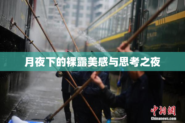 月夜下的裸露美感与思考之夜