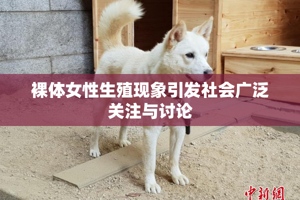 裸体女性生殖现象引发社会广泛关注与讨论