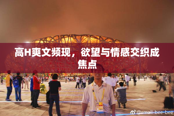 高H爽文频现，欲望与情感交织成焦点