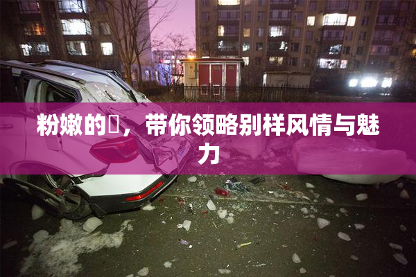 粉嫩的泬，带你领略别样风情与魅力