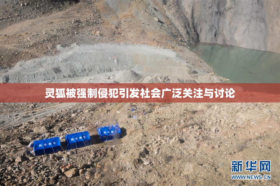 灵狐被强制侵犯引发社会广泛关注与讨论