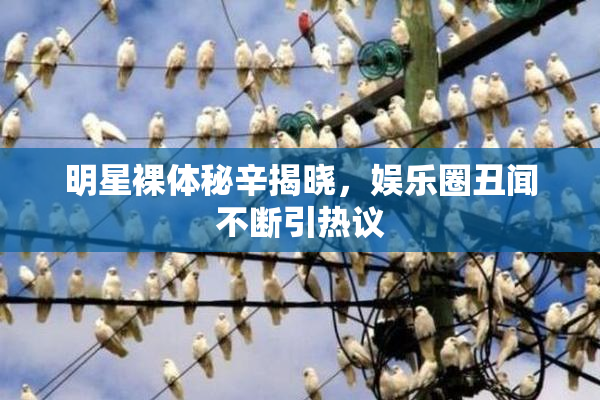 明星裸体秘辛揭晓，娱乐圈丑闻不断引热议