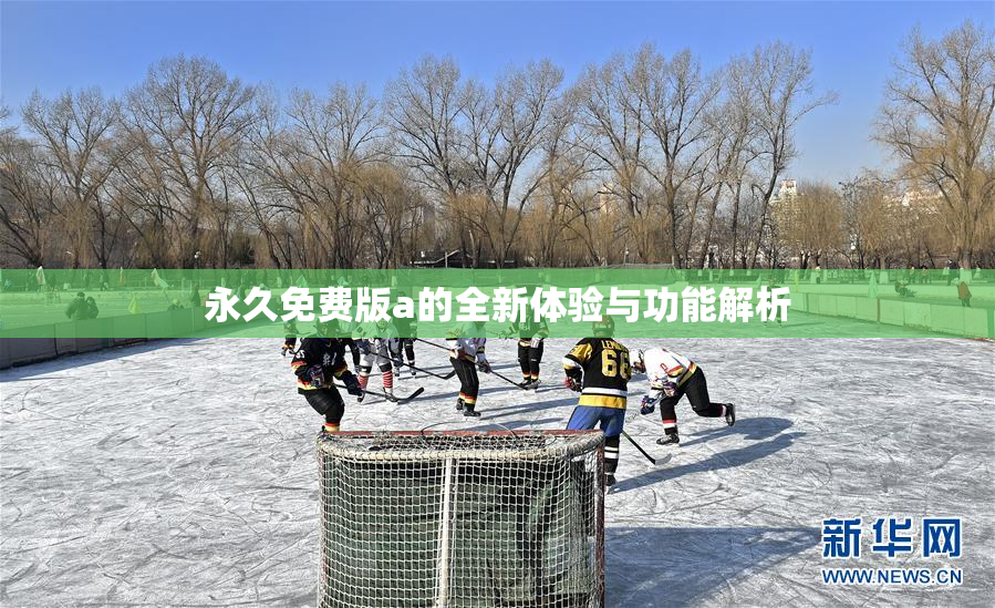 永久免费版a的全新体验与功能解析
