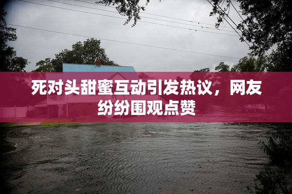 死对头甜蜜互动引发热议，网友纷纷围观点赞