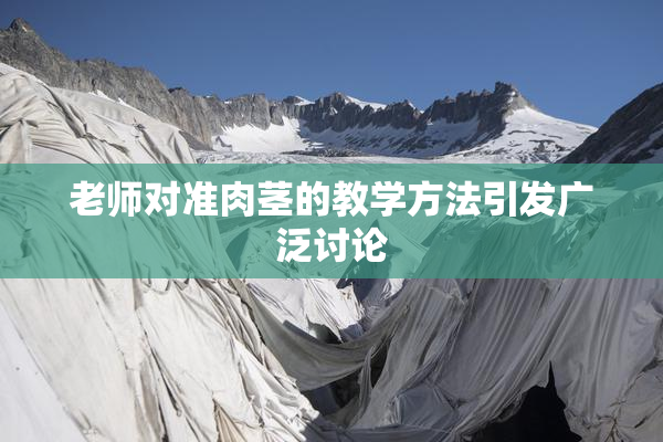 老师对准肉茎的教学方法引发广泛讨论