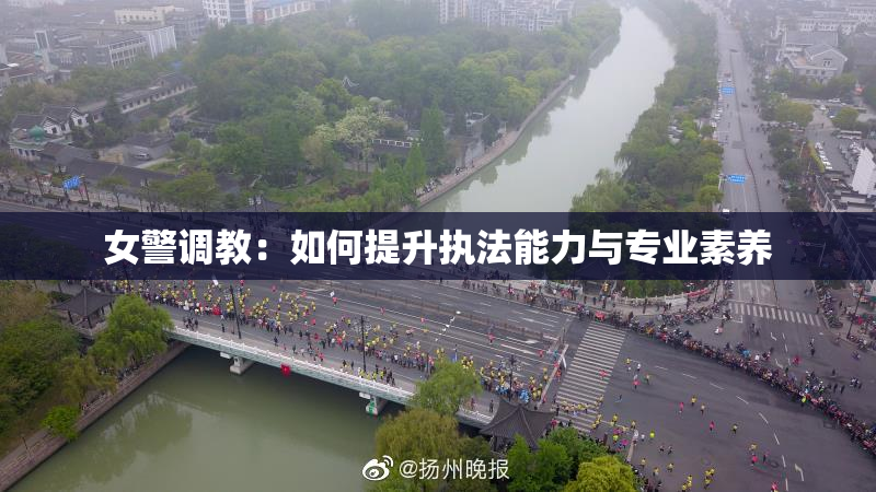 女警调教：如何提升执法能力与专业素养