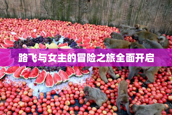 路飞与女主的冒险之旅全面开启