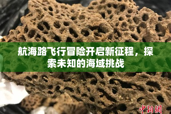 航海路飞行冒险开启新征程，探索未知的海域挑战