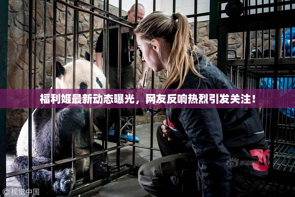 福利姬最新动态曝光，网友反响热烈引发关注！