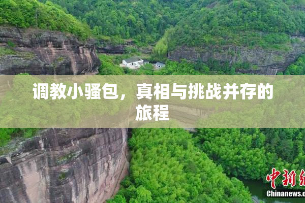 调教小骚包，真相与挑战并存的旅程