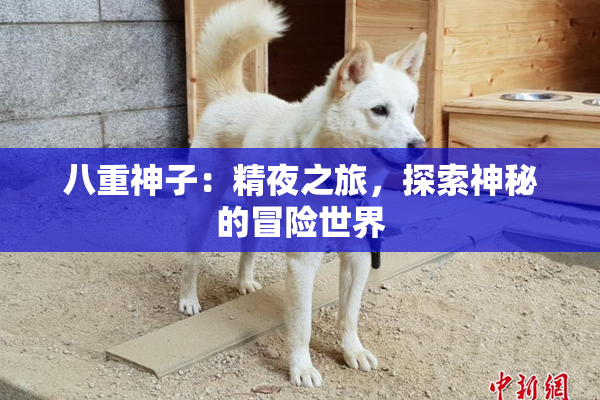 八重神子：精夜之旅，探索神秘的冒险世界