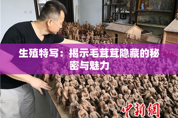 生殖特写：揭示毛茸茸隐藏的秘密与魅力