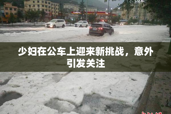 少妇在公车上迎来新挑战，意外引发关注