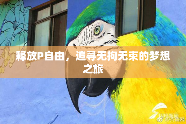 释放P自由，追寻无拘无束的梦想之旅