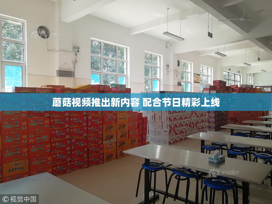 蘑菇视频推出新内容 配合节日精彩上线
