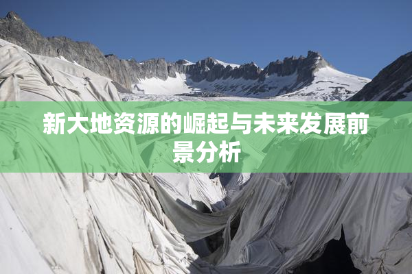 新大地资源的崛起与未来发展前景分析