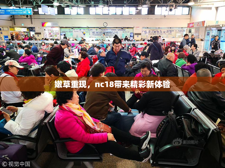 嫩草重现，nc18带来精彩新体验