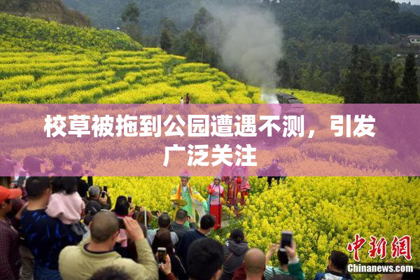 校草被拖到公园遭遇不测，引发广泛关注