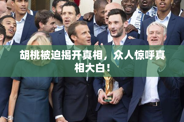 胡桃被迫揭开真相，众人惊呼真相大白！