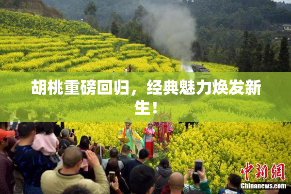 胡桃重磅回归，经典魅力焕发新生！