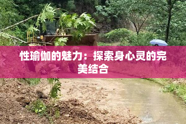 性瑜伽的魅力：探索身心灵的完美结合