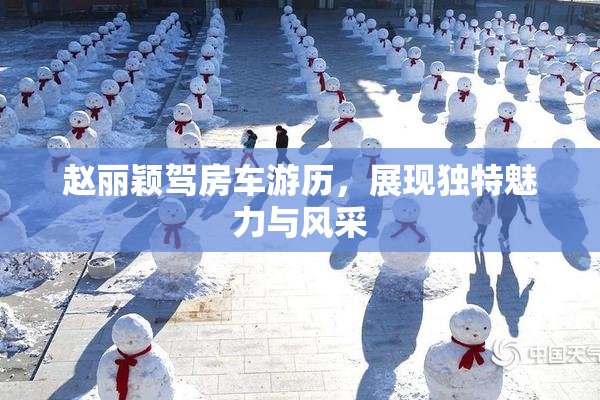 赵丽颖驾房车游历，展现独特魅力与风采