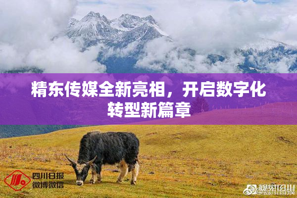 精东传媒全新亮相，开启数字化转型新篇章