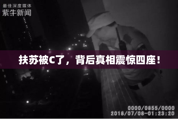 扶苏被C了，背后真相震惊四座！