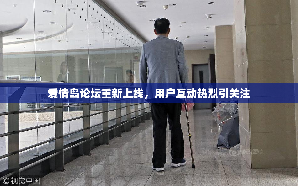 爱情岛论坛重新上线，用户互动热烈引关注