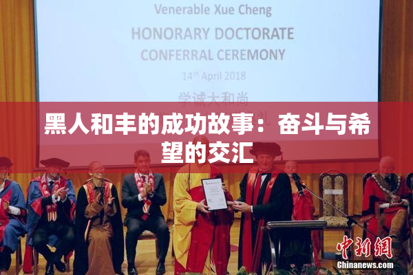 黑人和丰的成功故事：奋斗与希望的交汇