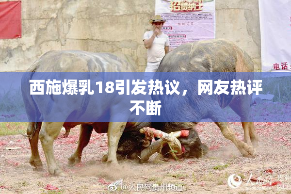 西施爆乳18引发热议，网友热评不断