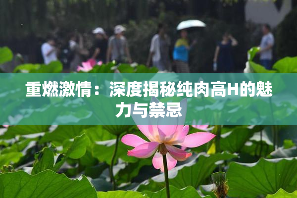 重燃激情：深度揭秘纯肉高H的魅力与禁忌