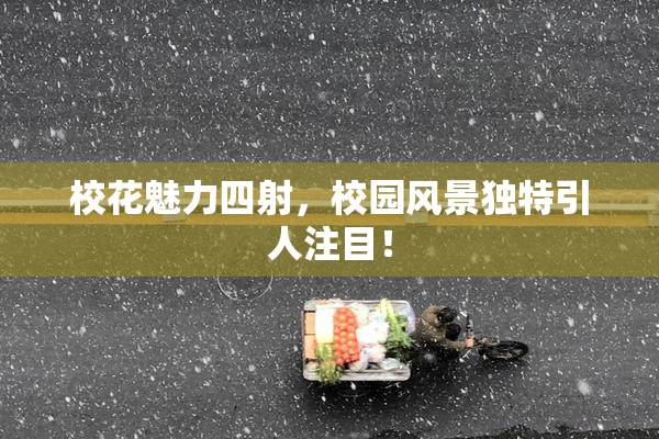 校花魅力四射，校园风景独特引人注目！