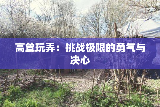 高耸玩弄：挑战极限的勇气与决心