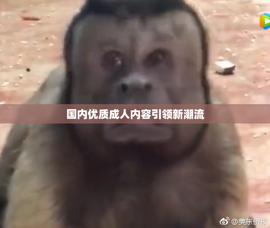 国内优质成人内容引领新潮流