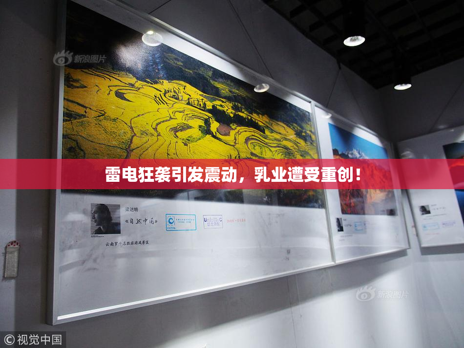 雷电狂袭引发震动，乳业遭受重创！