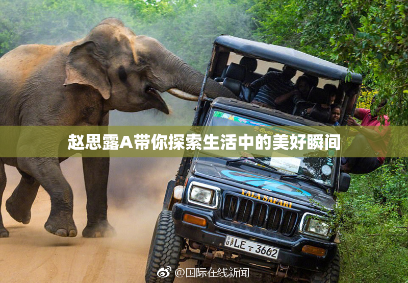 赵思露A带你探索生活中的美好瞬间