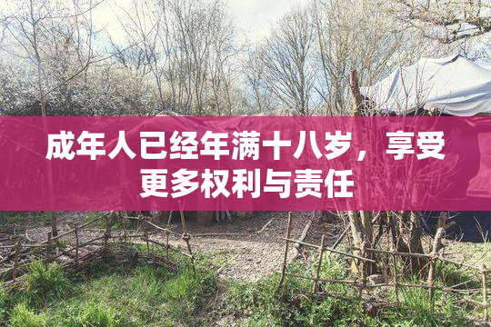 成年人已经年满十八岁，享受更多权利与责任