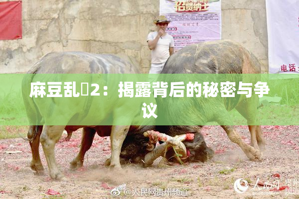 麻豆乱婬2：揭露背后的秘密与争议