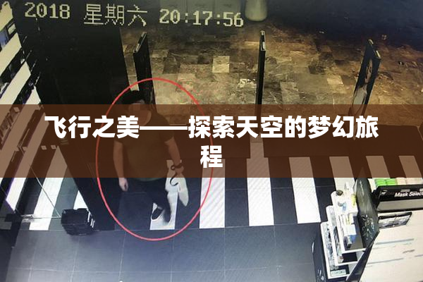 飞行之美——探索天空的梦幻旅程
