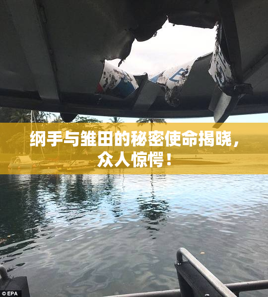纲手与雏田的秘密使命揭晓，众人惊愕！
