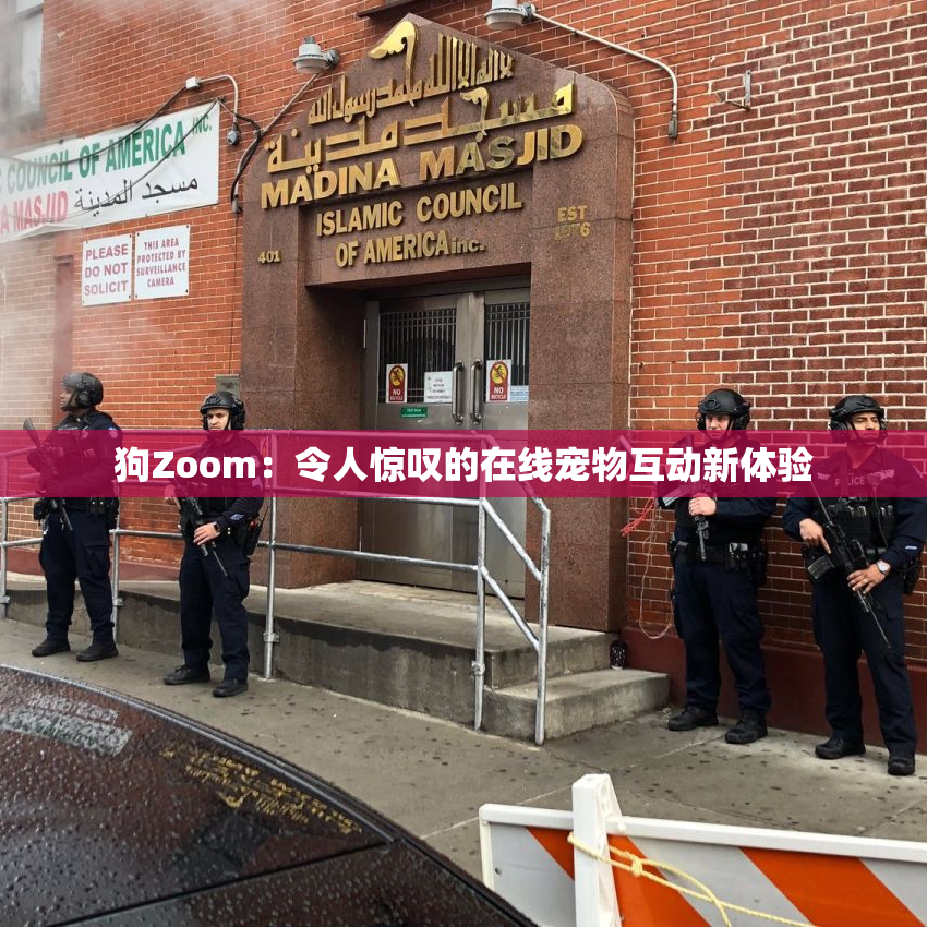 狗Zoom：令人惊叹的在线宠物互动新体验