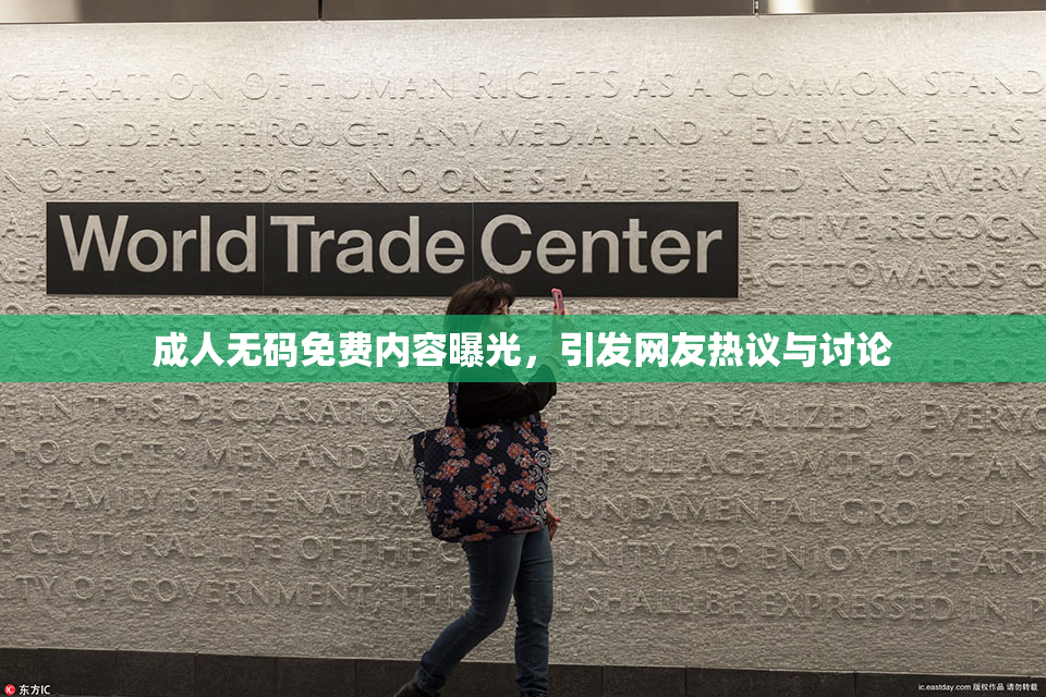 成人无码免费内容曝光，引发网友热议与讨论