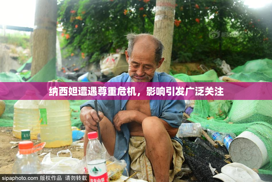 纳西妲遭遇尊重危机，影响引发广泛关注