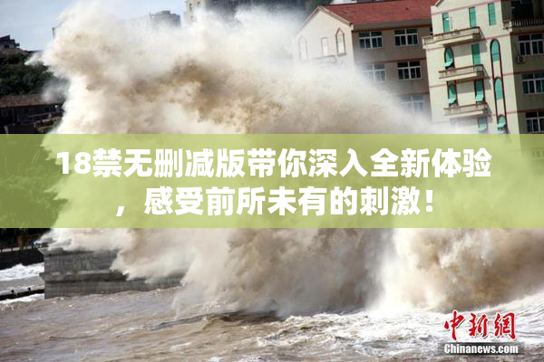 18禁无删减版带你深入全新体验，感受前所未有的刺激！