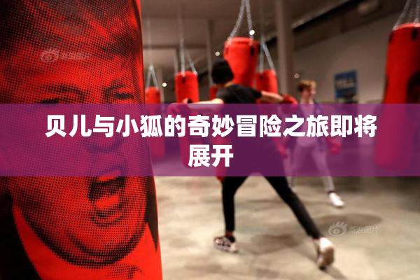 贝儿与小狐的奇妙冒险之旅即将展开