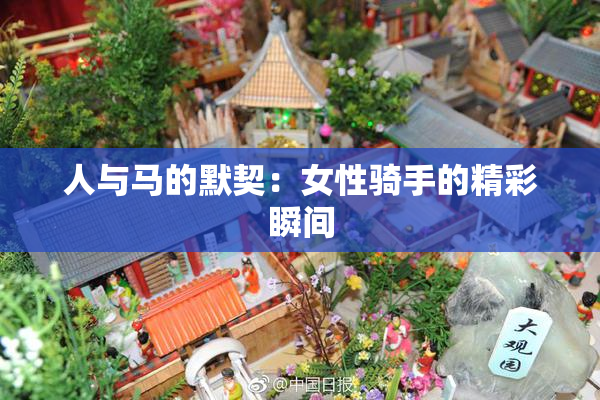 人与马的默契：女性骑手的精彩瞬间