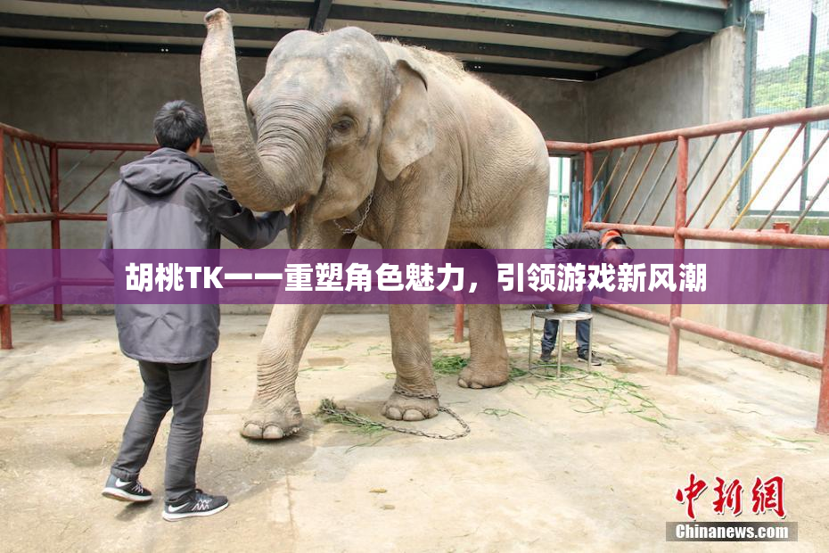 胡桃TK一一重塑角色魅力，引领游戏新风潮